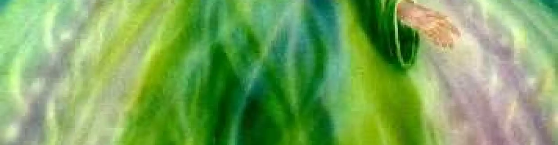 Connecting & Working With Archangel Raphael For Healing - Online Class by Pamela Dussault