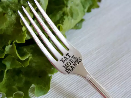 5 Reasons You Should Eat More Plants