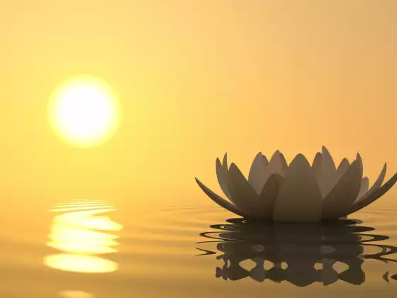 Mindfulness, A Practice to Improve Your Health and Work 