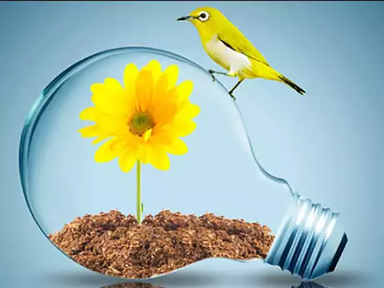 The Mindset to Diabetes - When did you lose the sweetness in life?
