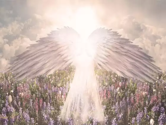 Healing Meditation