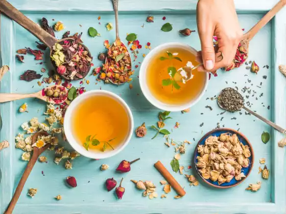 Supporting Gut Health - Multilingual