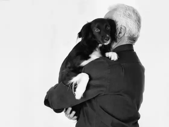 What's the Deal With Dogs? Communicating Effectively and Intuitively with the Dogs In Your Life