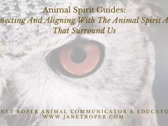 Animal Spirit Guides: Connecting And Aligning With The Animal Spirit Allies That Surround Us