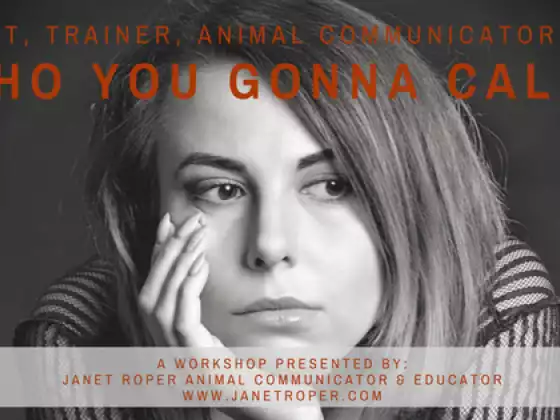 Vet, Trainer or Animal Communicator: Who You Gonna Call?