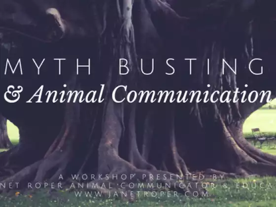 Myth Busting and Animal Communication