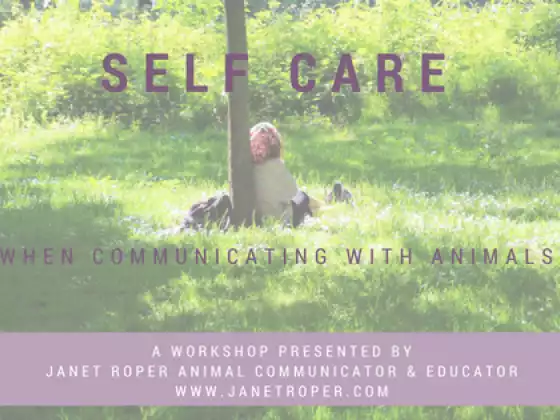 Self Care When Communicating With Animals