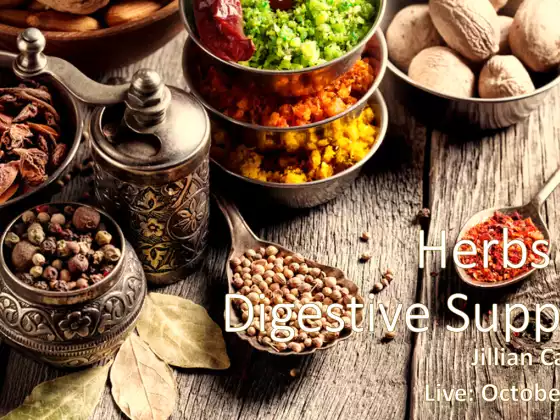 Herbs for Digestive Support