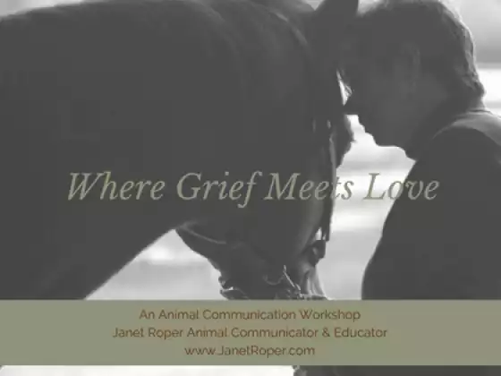 Where Grief Meets Love