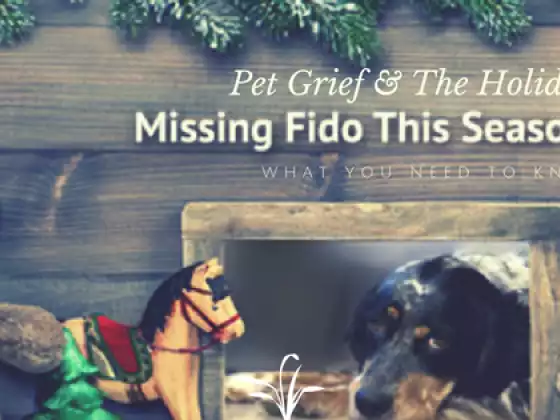 Grieving Your Pet Over the Holidays (REPEAT)