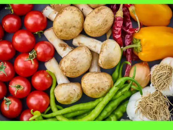 An Introduction to a Primarily Plant-based Lifestyle - Plant-based, plant-slant, vegan, and more
