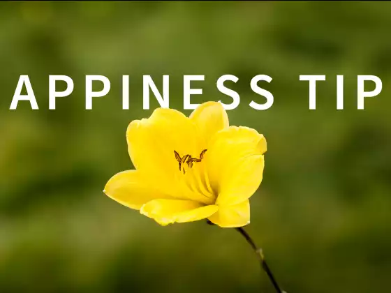 5 STEPS TO GREATER HAPPINESS  in Life + Business