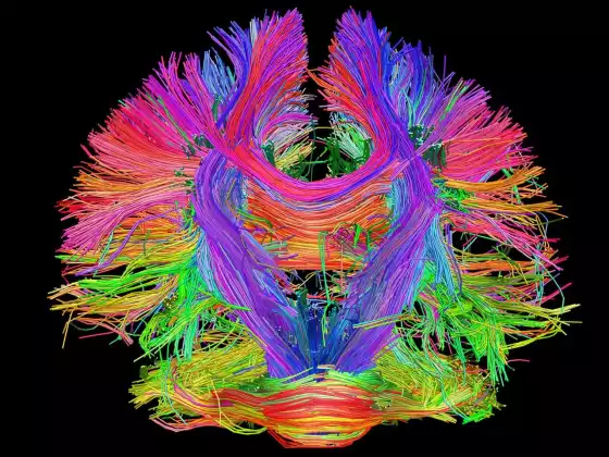 培养你的直觉+心流：使用自然的治疗科学和室内设计的心理学