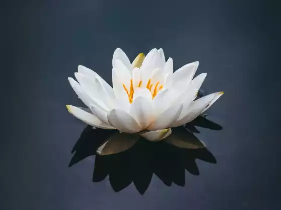 Work Your Karma so Your Life Works for You