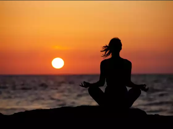 An Introduction to Lineage of Light