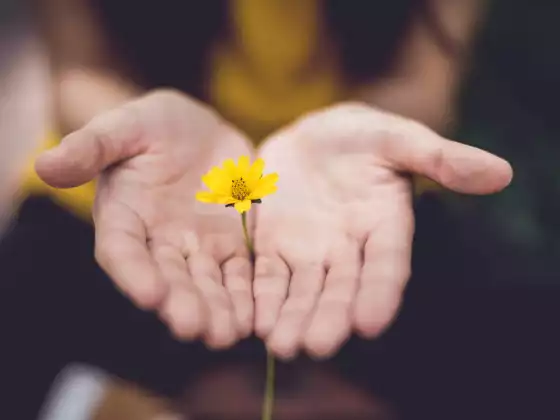 Reiki cấp 1