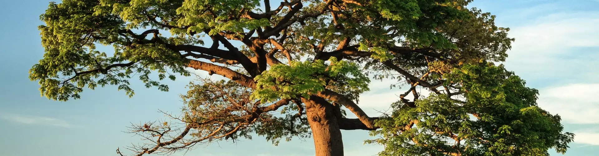 2023 ASAS POKOK - Kelas 1 - 2023 -3 - Online Class by John Keslick