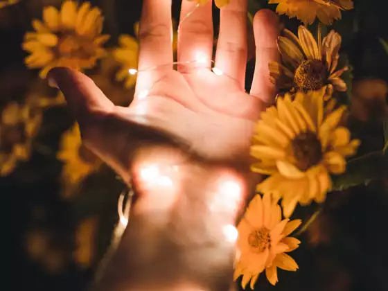 Soin Reiki à distance pendant 33 minutes