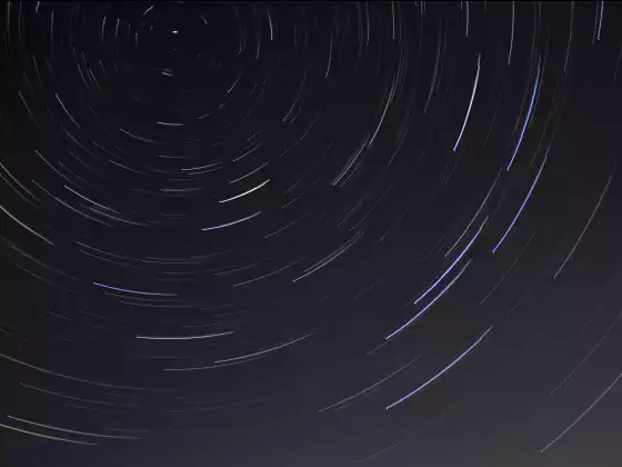 多維存有，被遺忘者