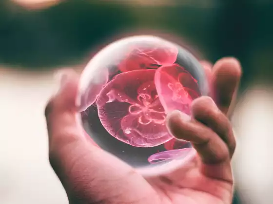 Tapping Into Your Inner Psychic with Jamie Butler