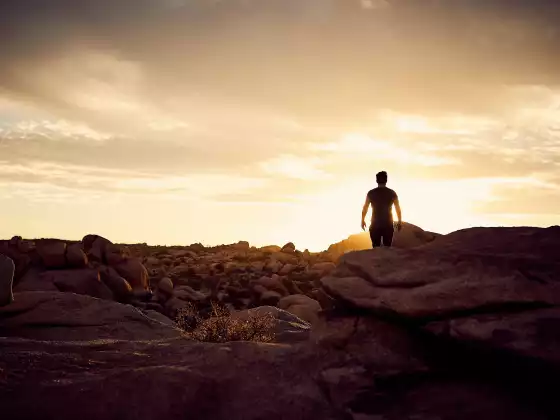 Meditación para el Despertar - 13 de abril