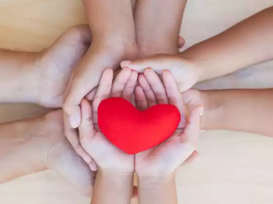 Healthful Relationships