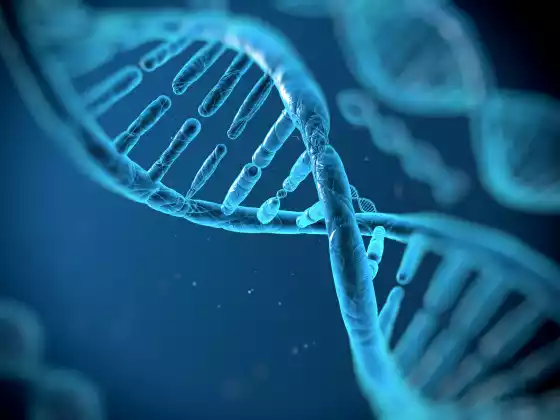 Discovering DNA*