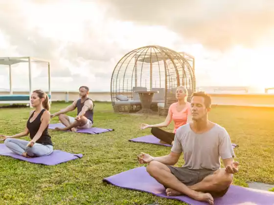 What is YOGA? & Why it Touches Our Soul