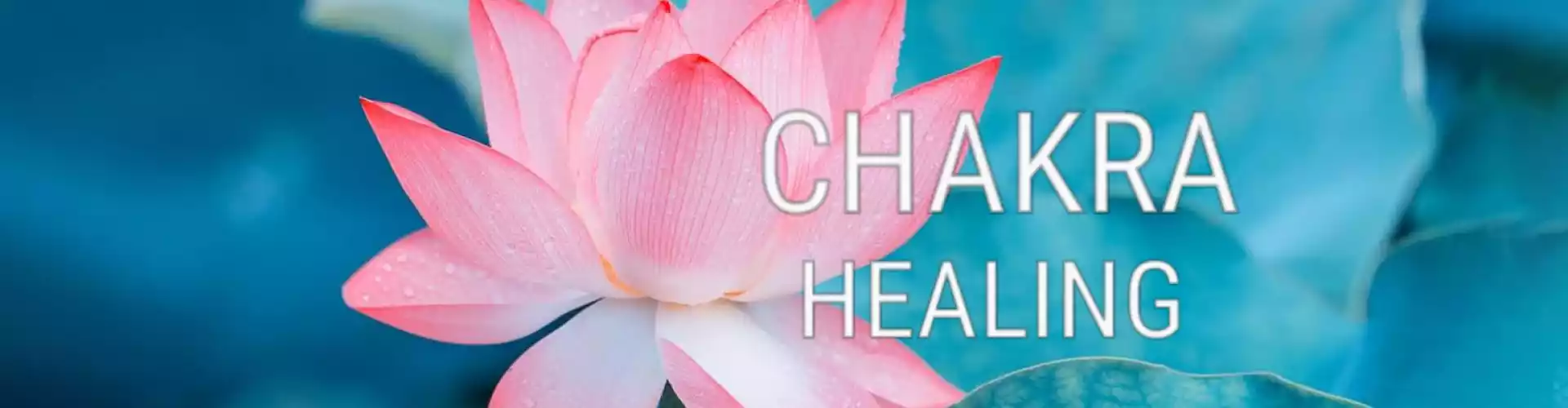 Bundle: आपकी चक्र श्रृंखला की सभी 8 श्रेणियों को ठीक करना - Online Course by Learn It Live