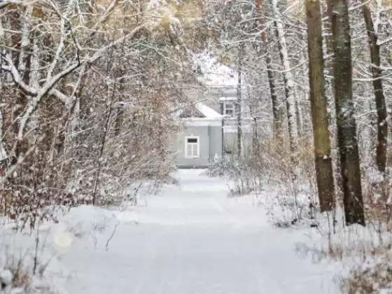 Winter Solstice Energy Healing  Ceremony 