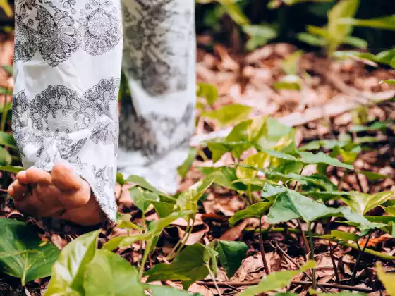 NatureSoul Odyssey: A Virtual Ecotherapeutic Walk