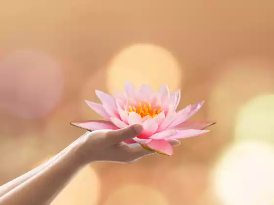 The Way Through Chronic Pain with WU Expert Leader Elizabeth Kipp