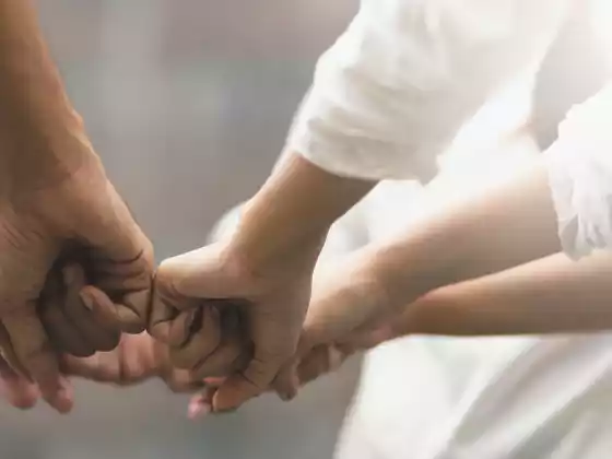 সফল সহযোগিতার জন্য সর্বোত্তম অনুশীলন