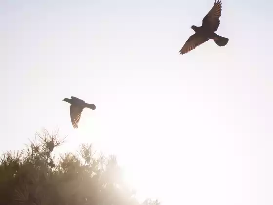 Building a Relationship with Loved Ones in Spirit Series-Autumn 2024-Part 1