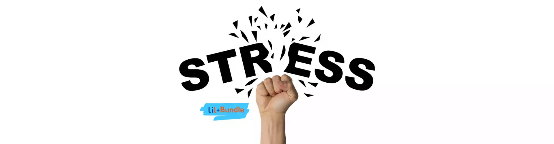 Bundle: Paquete de manejo del estrés - Online Course by Learn It Live