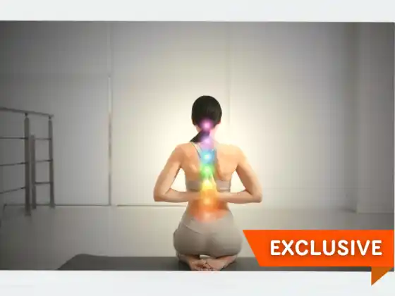 Renouvellement du système des chakras et guérison énergétique