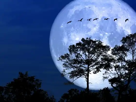 পূর্ণিমার ধ্যান