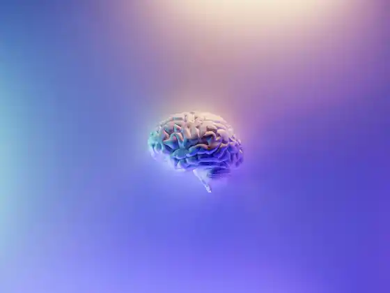 Brain Health and Exercise - how exercise impacts brain health and memory
