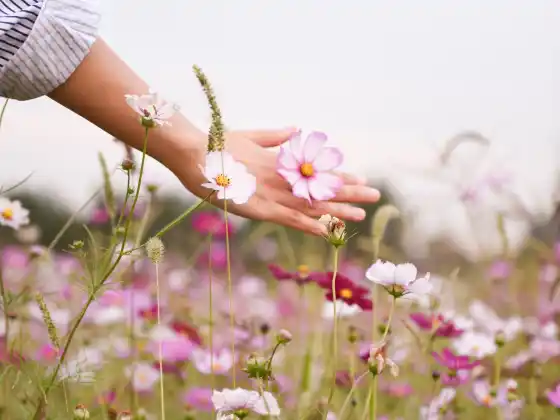 Week-end de maîtrise Reiki