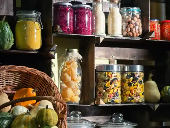 «The Pantry Powerhouse: 20 основних інгредієнтів для вашого рослинного способу життя