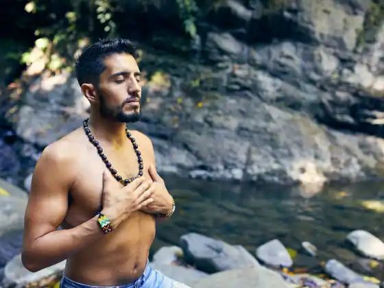 আয়ুর্বেদ: মন, শরীর এবং আত্মাকে পুষ্ট করা