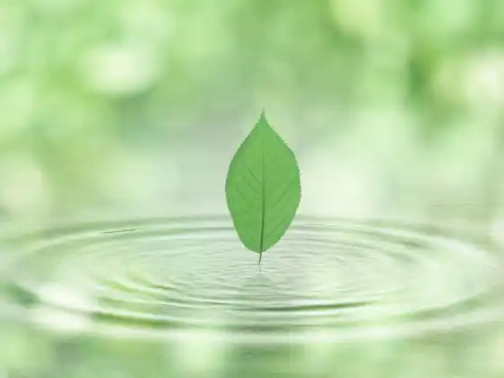 Luyện Khí Công Hàng Ngày Với 8 Tấm Gấm Lụa