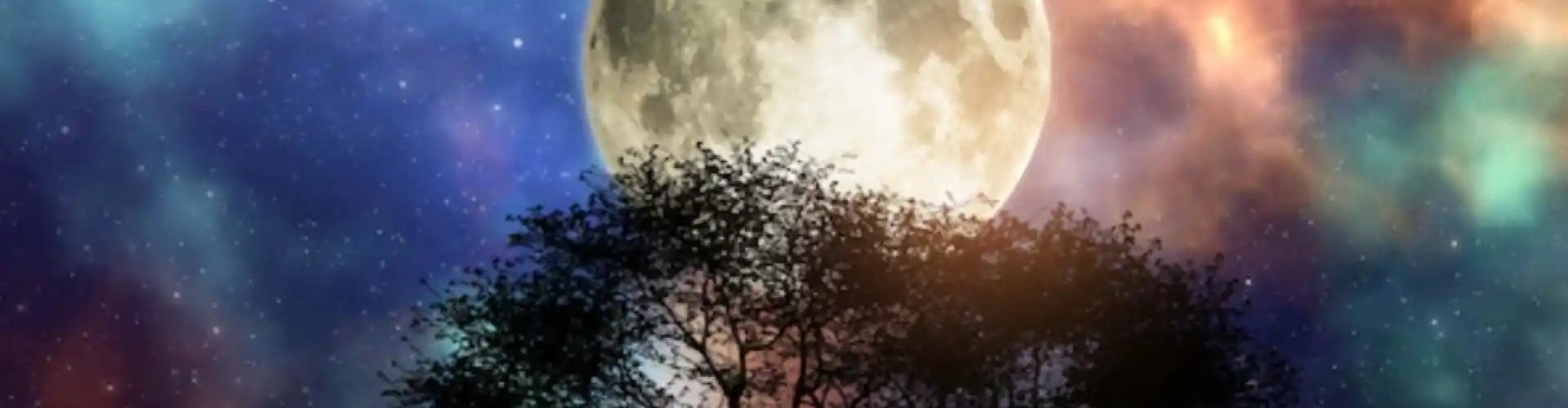 Thiền Luân Xa Trăng Tròn - Online Class by Cassaundra Paolini