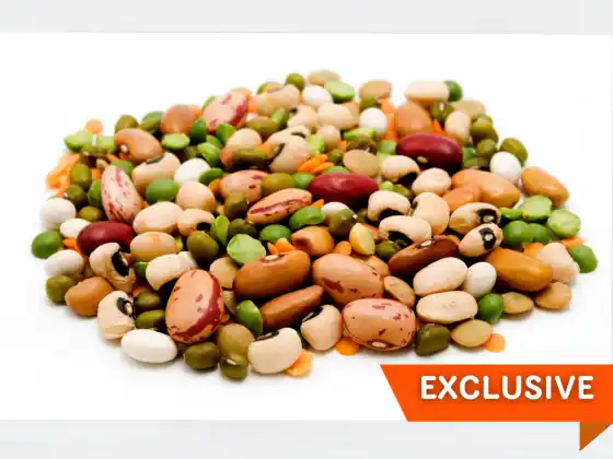 Easy Peas-y – ถั่วเลนทิล ถั่วลันเตา ฝักถั่ว และอื่นๆ