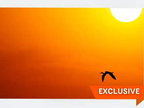 Sambutan Solstis Musim Panas dengan Penyaluran dan Penyembuhan