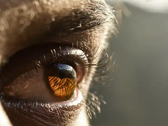 உங்கள் உள் குரலைத் தழுவுதல்: எதிர்மறையான சுய-பேச்சை வென்று சுய-இரக்கத்தை வளர்த்துக் கொள்ளுங்கள்