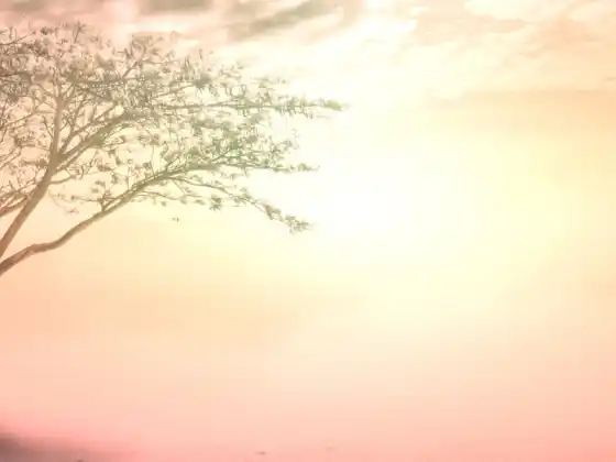 Spring Into Soul: A Mind-Body-Spirit Symposium