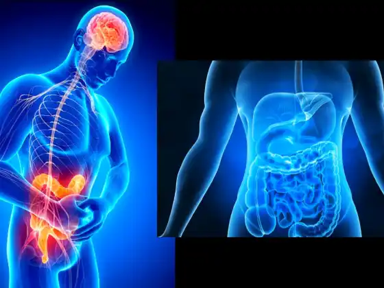 Guida il tuo corpo per guarire il tratto digerente