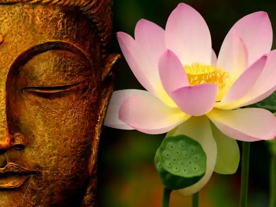 Reiki Tingkat Dua