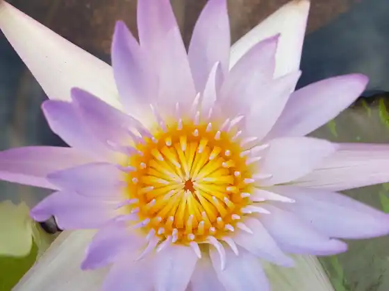 The Chakra Journey: Class Three ~ Your Root Chakra